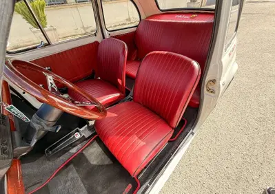 Fiat 500  (13)