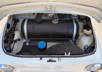 Fiat 500  (14)
