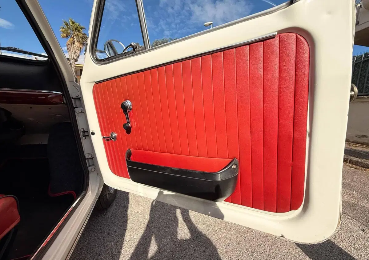 Fiat 500  (17)
