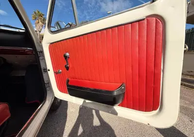 Fiat 500  (17)