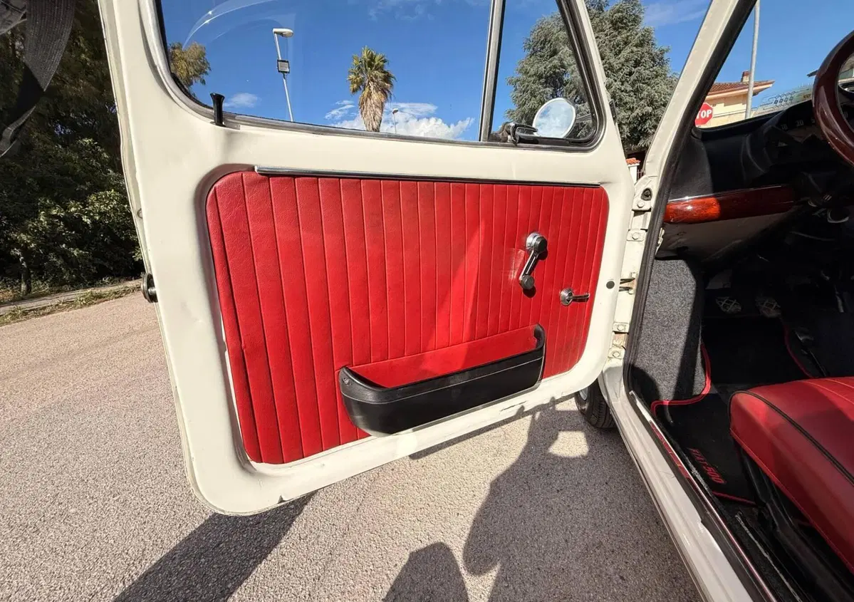 Fiat 500  (18)