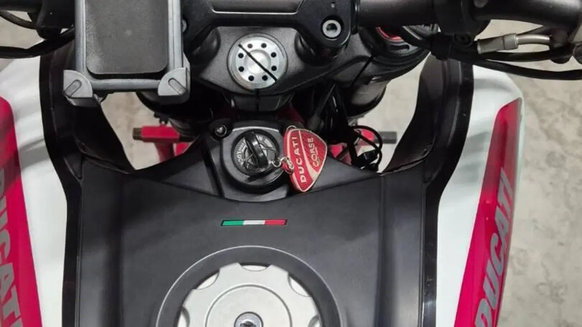 Ducati Hypermotard 821 SP (2013 - 15)  (10)