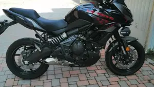 Kawasaki Versys 650 Tourer Plus (2021)  (3)