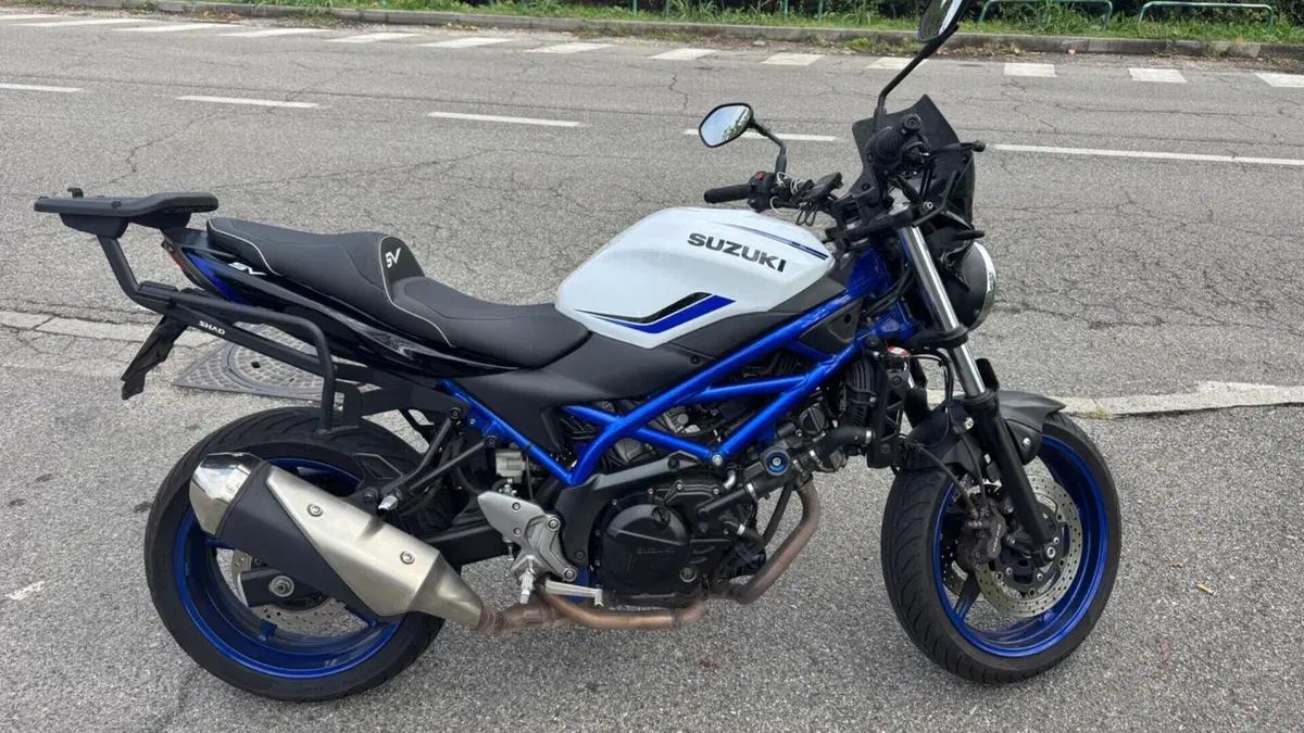 Suzuki SV 650 (2016 - 20) 