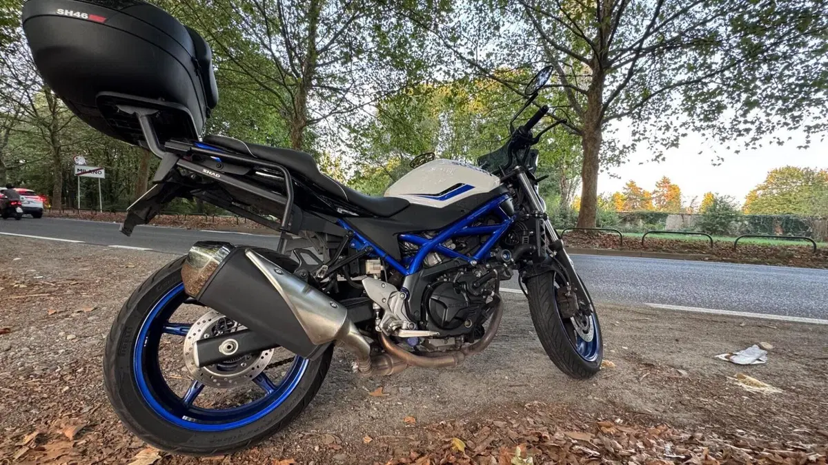 Suzuki SV 650 (2016 - 20)  (3)