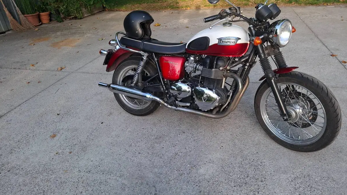 Triumph Bonneville T100 (2008 - 16)  (5)