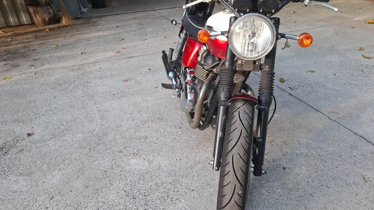 Triumph Bonneville T100 (2008 - 16)  (6)