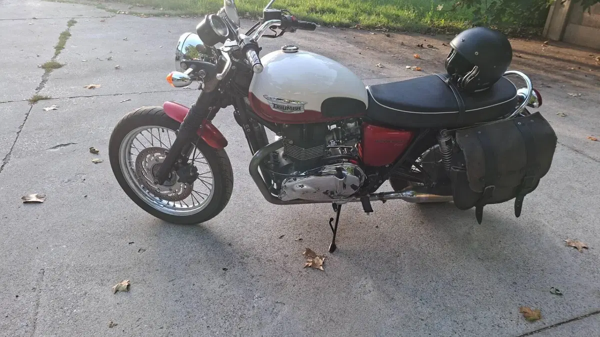 Triumph Bonneville T100 (2008 - 16)  (7)