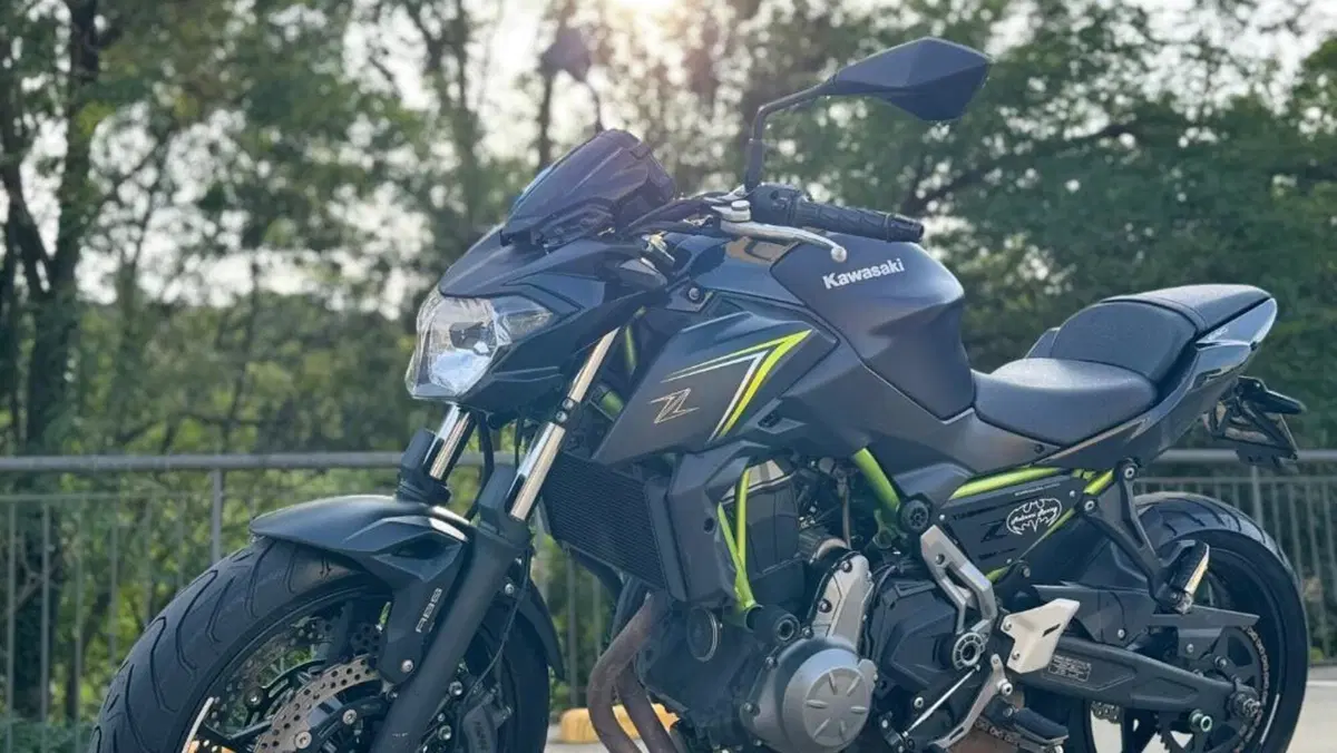 Kawasaki Z 650 (2017 - 19)  (4)