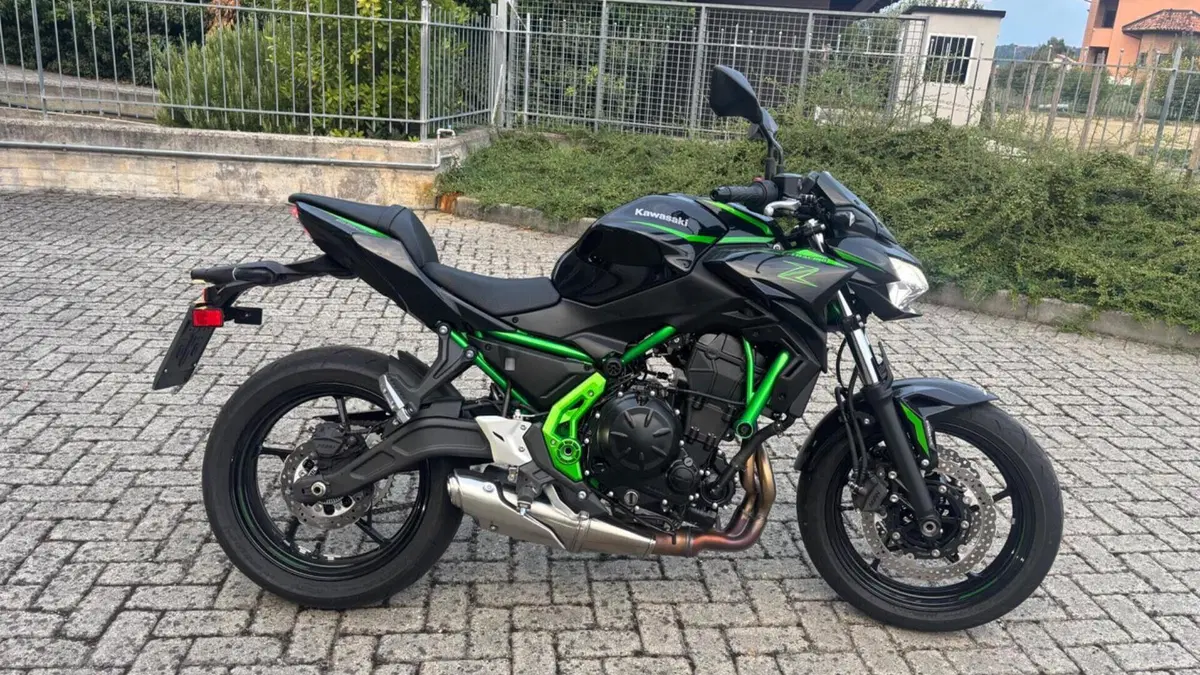 Kawasaki Z 650 (2021 - 24)  (3)