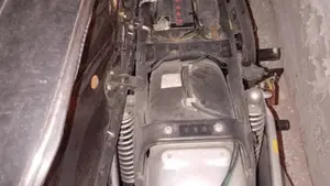Honda   (6)