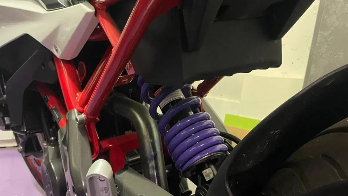 Bmw G 310 R (2021 - 25)  (7)