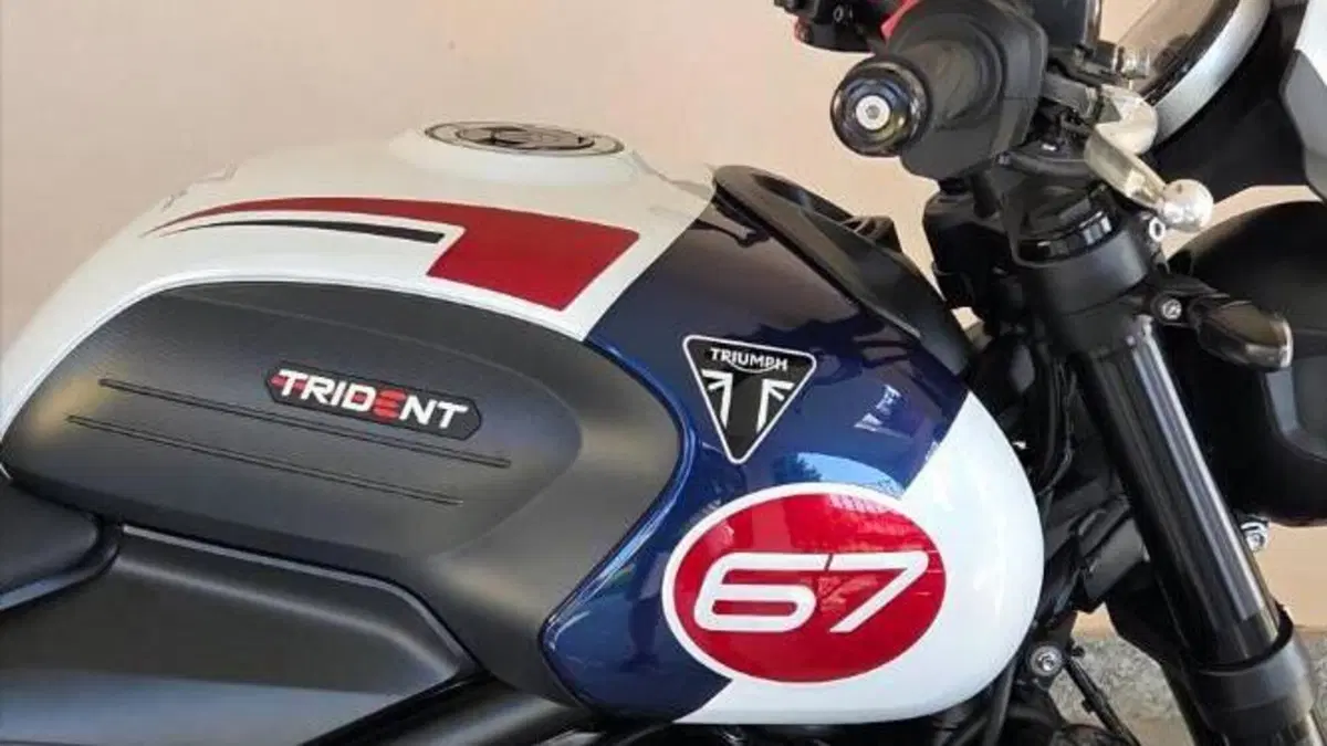 Triumph Trident 660 Triple Tribute Edition (2024)  (3)