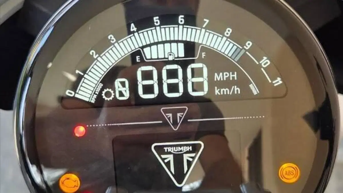 Triumph Trident 660 Triple Tribute Edition (2024)  (7)