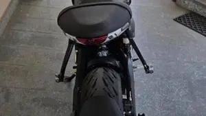 Triumph Trident 660 Triple Tribute Edition (2024)  (12)