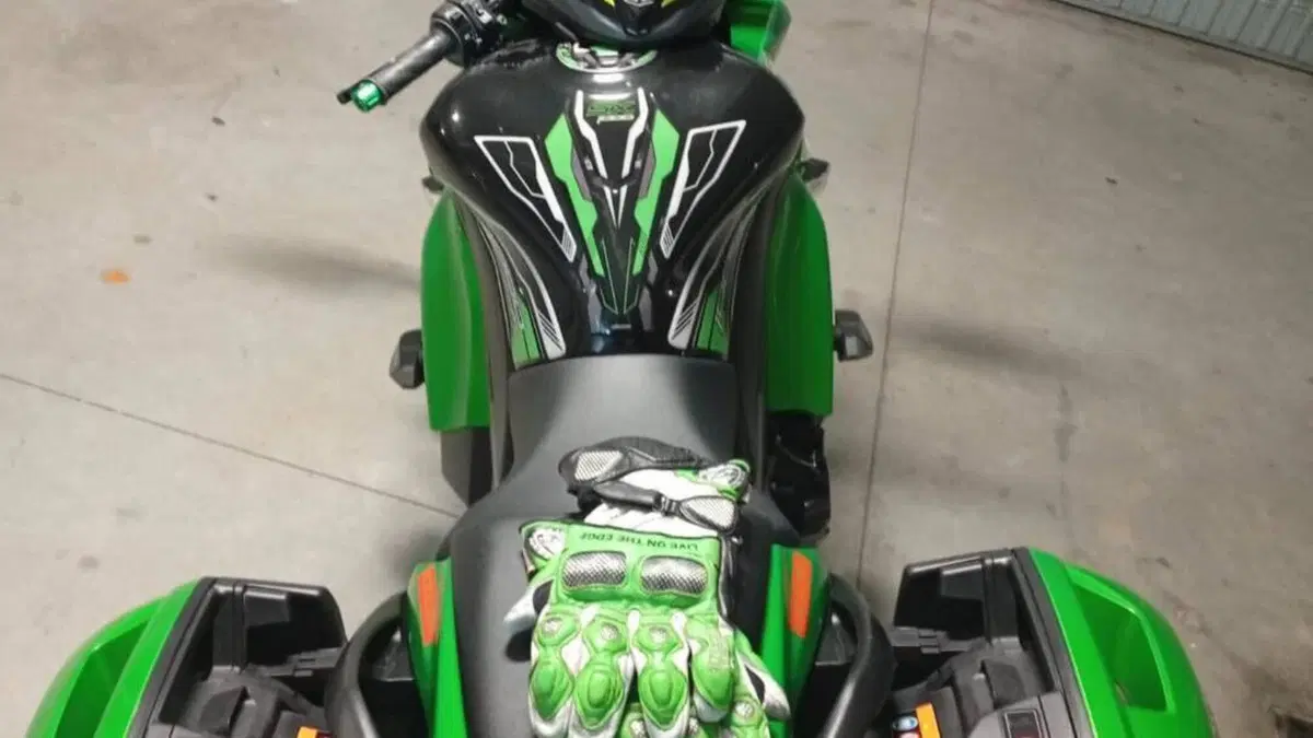 Kawasaki Z 1000 SX ABS (2014 - 16)  (3)