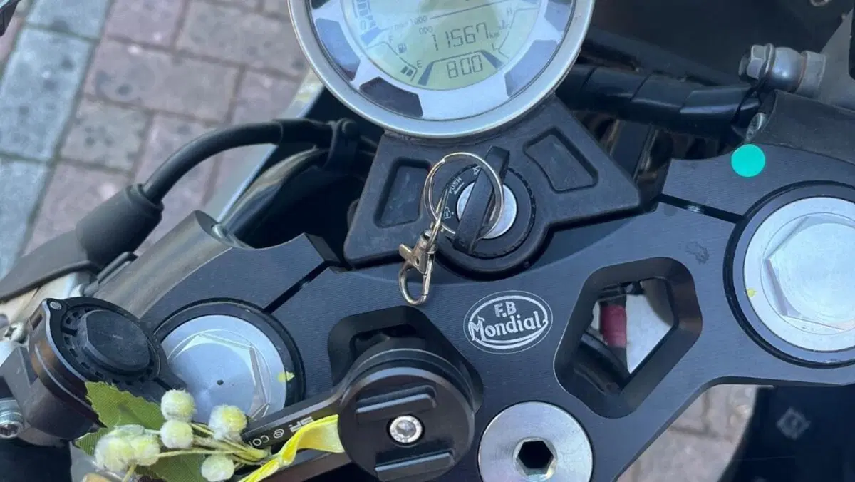 FB Mondial Sport Classic 125 (2019 - 20)  (5)