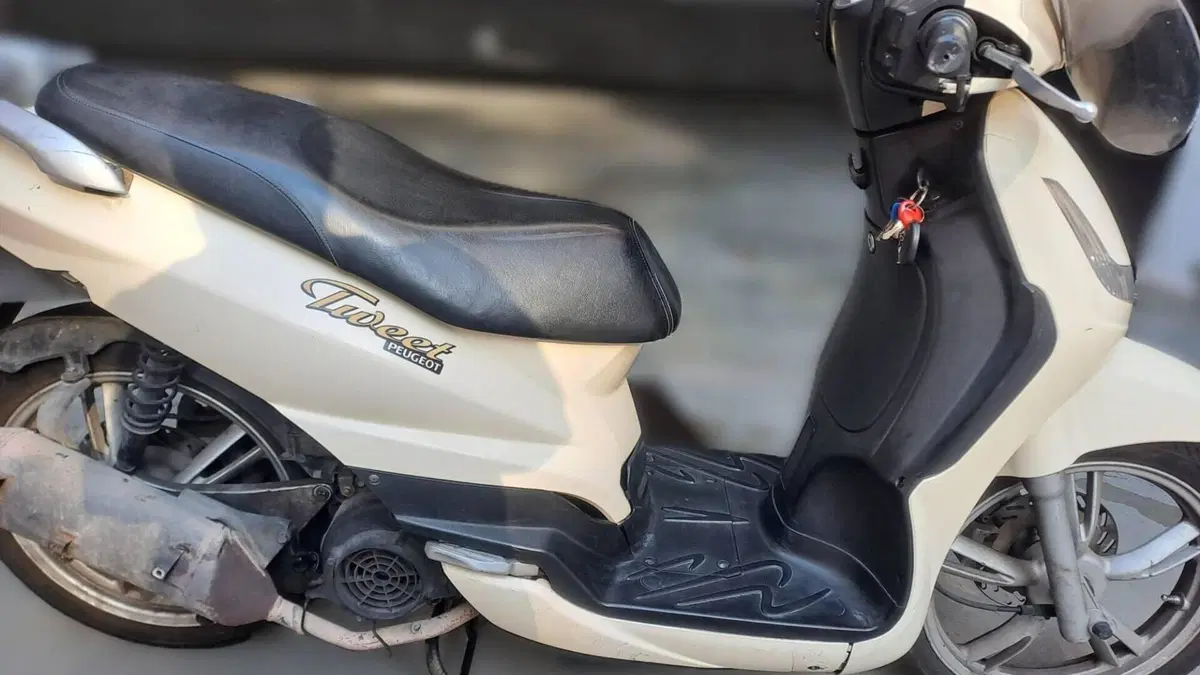 Peugeot Tweet 125 (2010 - 14)  (3)