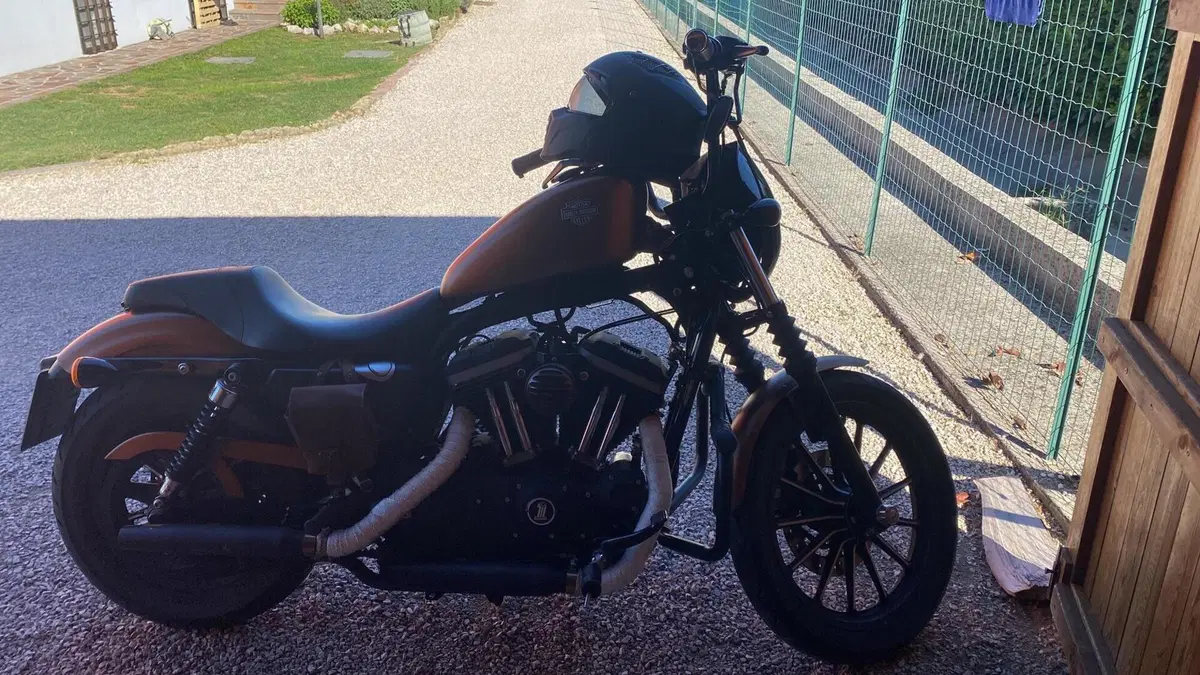 Harley-Davidson 883 Iron (2009 - 11) - XL 883N  (7)