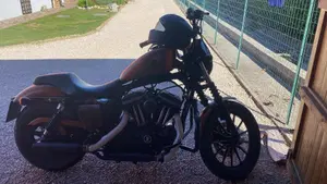 Harley-Davidson 883 Iron (2009 - 11) - XL 883N  (7)