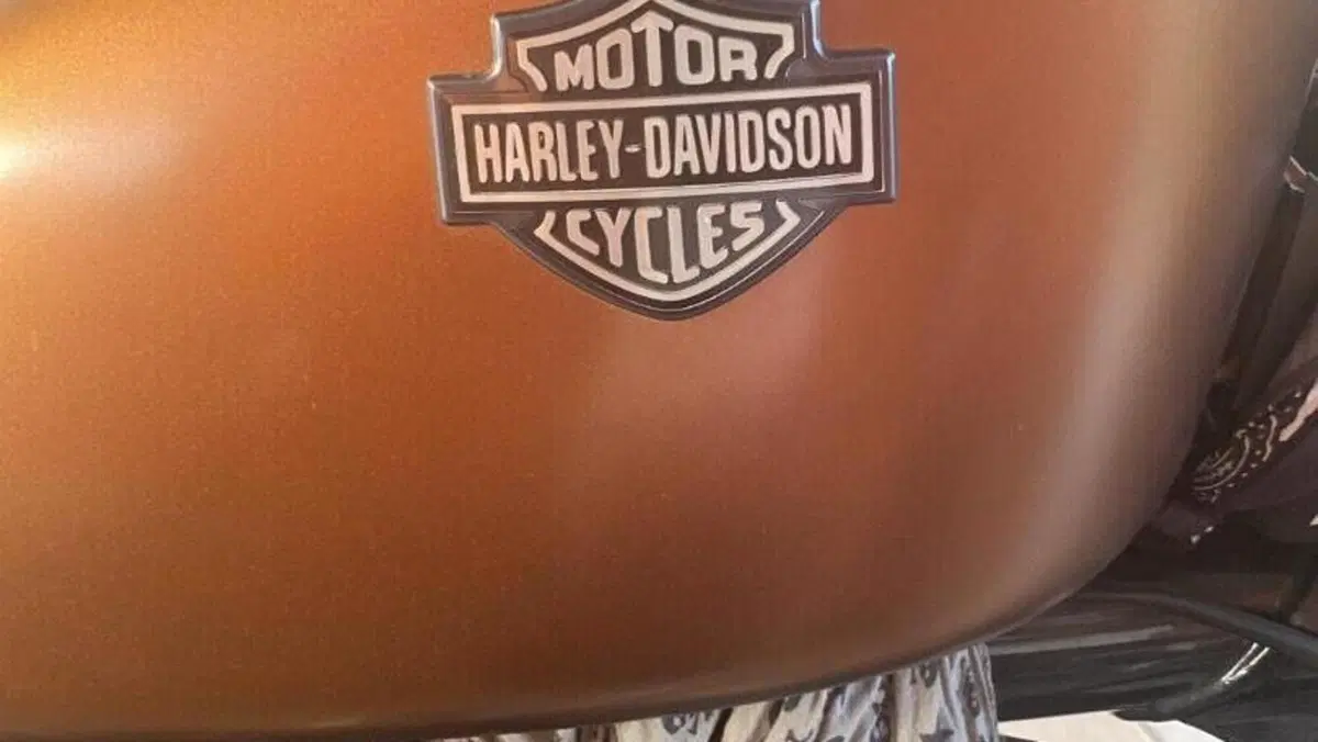 Harley-Davidson 883 Iron (2009 - 11) - XL 883N  (9)