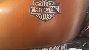 Harley-Davidson 883 Iron (2009 - 11) - XL 883N  (9)