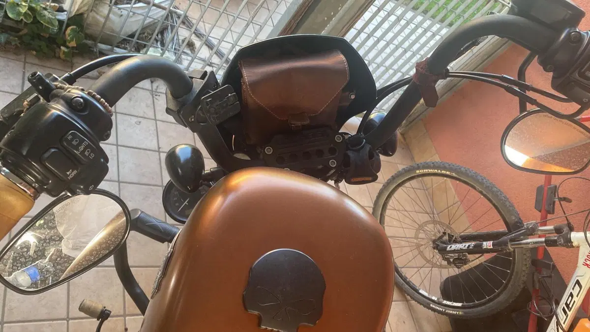 Harley-Davidson 883 Iron (2009 - 11) - XL 883N  (12)