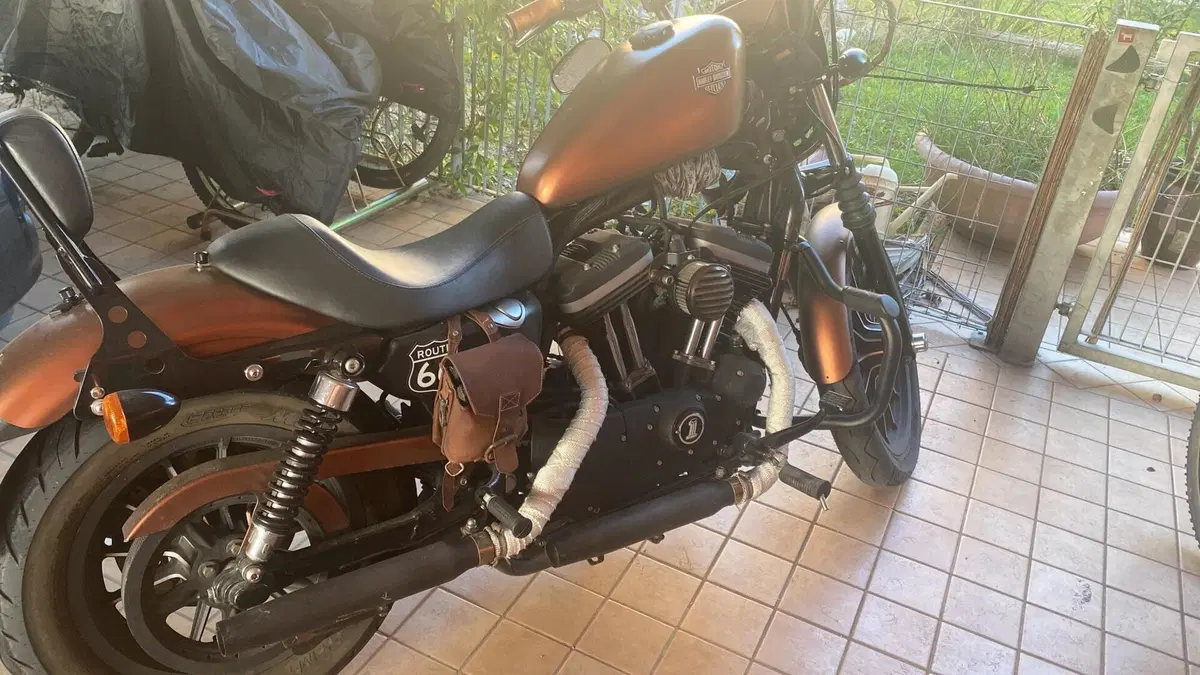Harley-Davidson 883 Iron (2009 - 11) - XL 883N  (13)