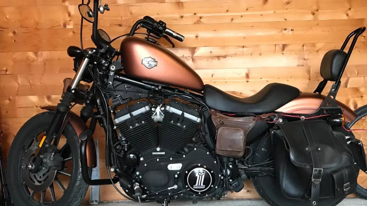 Harley-Davidson 883 Iron (2009 - 11) - XL 883N  (5)