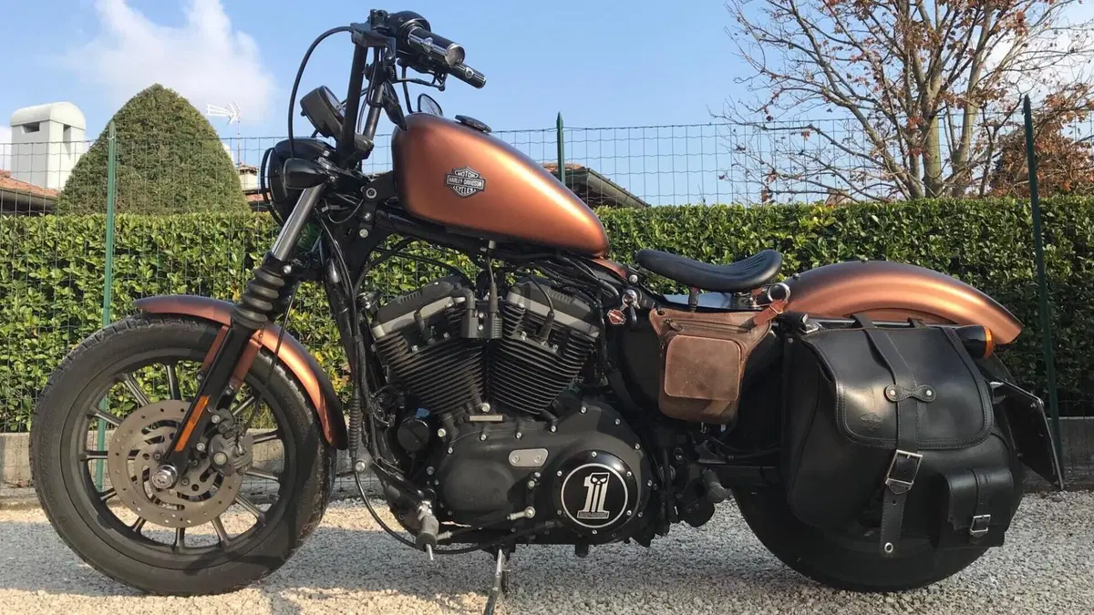 Harley-Davidson 883 Iron (2009 - 11) - XL 883N  (4)