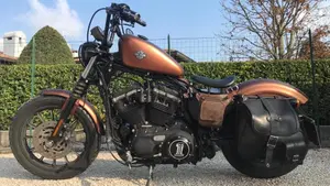 Harley-Davidson 883 Iron (2009 - 11) - XL 883N  (4)