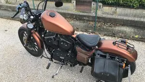 Harley-Davidson 883 Iron (2009 - 11) - XL 883N  (6)