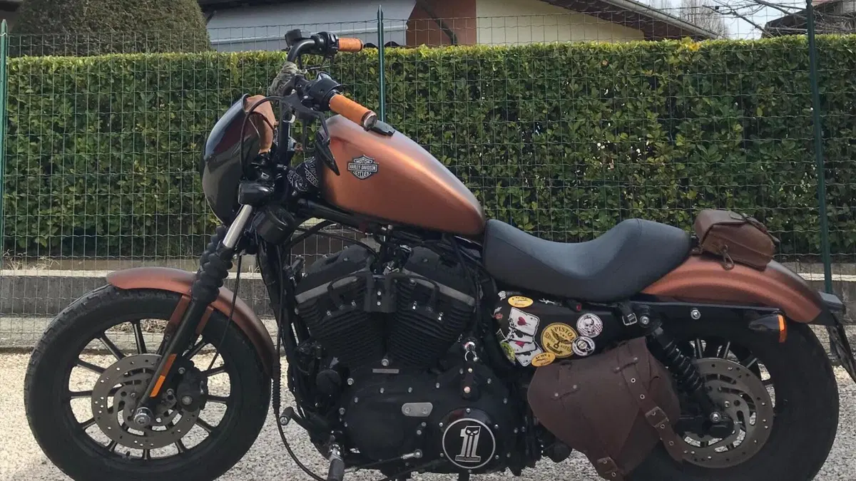 Harley-Davidson 883 Iron (2009 - 11) - XL 883N  (3)