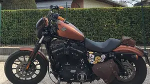 Harley-Davidson 883 Iron (2009 - 11) - XL 883N  (3)