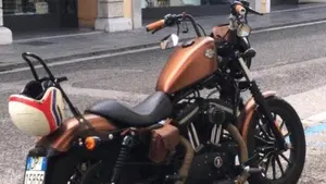Harley-Davidson 883 Iron (2009 - 11) - XL 883N  (2)