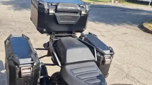 Harley-Davidson Pan America 1250 Special (2020 - 25)  (4)