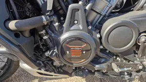 Harley-Davidson Pan America 1250 Special (2020 - 25)  (7)