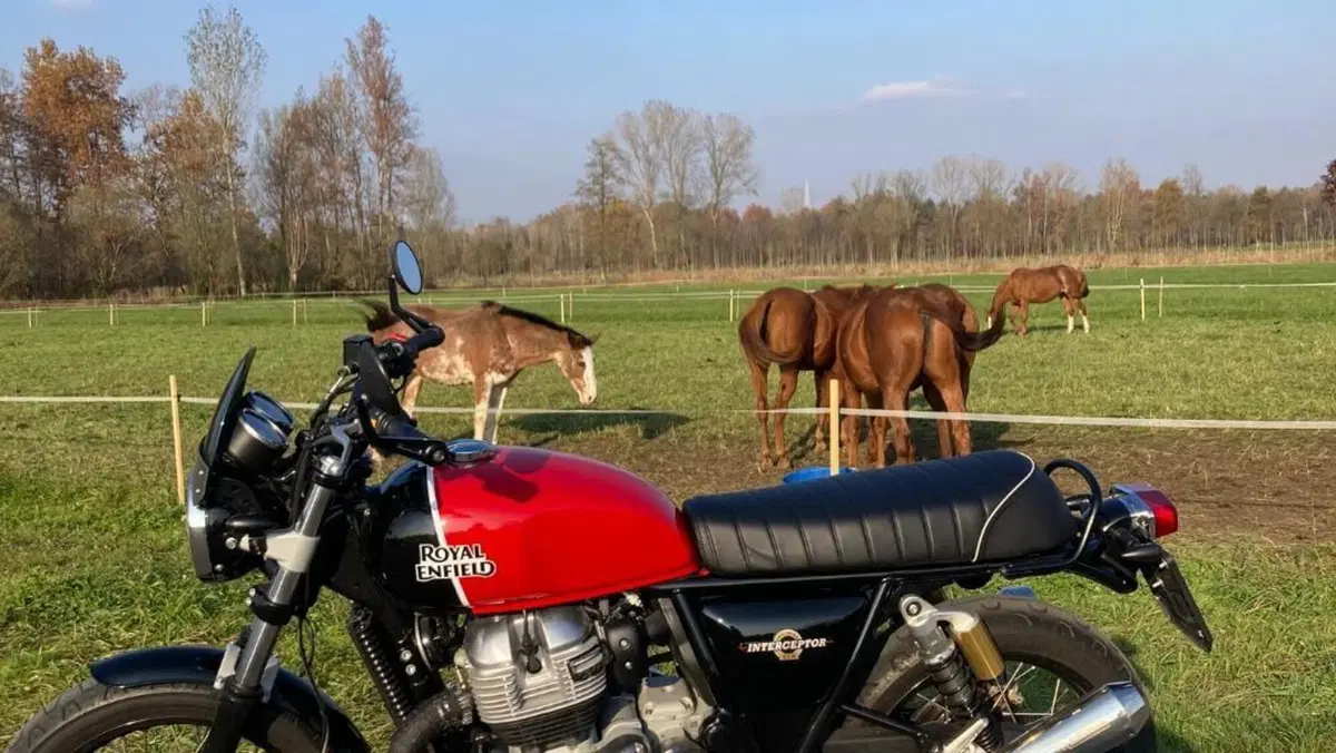 Royal Enfield Interceptor 650 (2019 - 20) 
