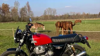 Royal Enfield Interceptor 650 (2019 - 20) usata
