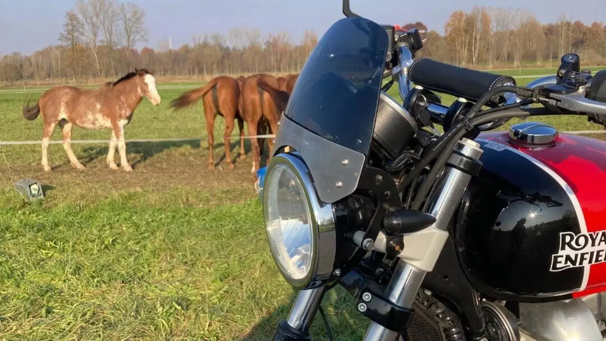 Royal Enfield Interceptor 650 (2019 - 20)  (2)