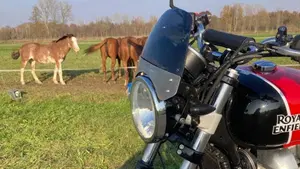 Royal Enfield Interceptor 650 (2019 - 20)  (2)