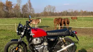 Royal Enfield Interceptor 650 (2019 - 20)  (3)