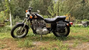 Harley-Davidson   (2)