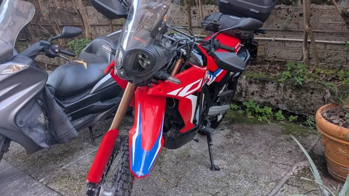 Honda CRF 300 Rally (2021 - 24)  (2)