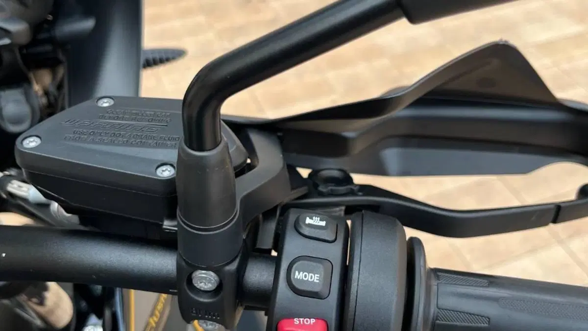 Bmw R 1250 GS (2019 - 20)  (8)