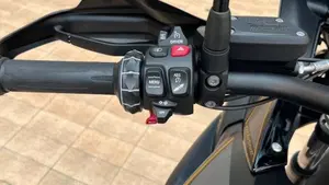 Bmw R 1250 GS (2019 - 20)  (9)