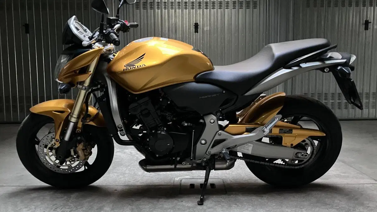 Honda Hornet 600 (2007 - 10)  (2)