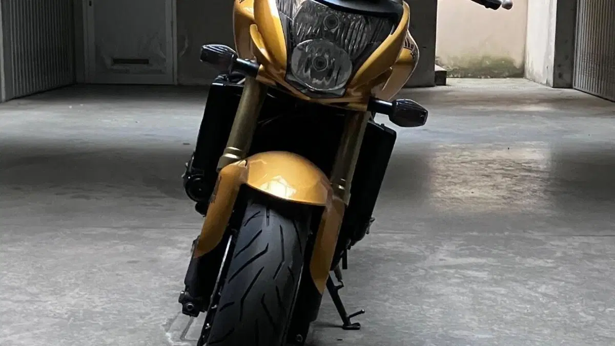 Honda Hornet 600 (2007 - 10)  (4)