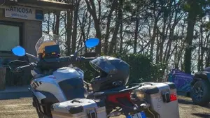 Ducati Multistrada 950 (2018)  (2)