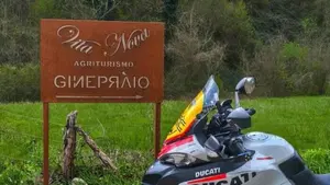 Ducati Multistrada 950 (2018)  (4)
